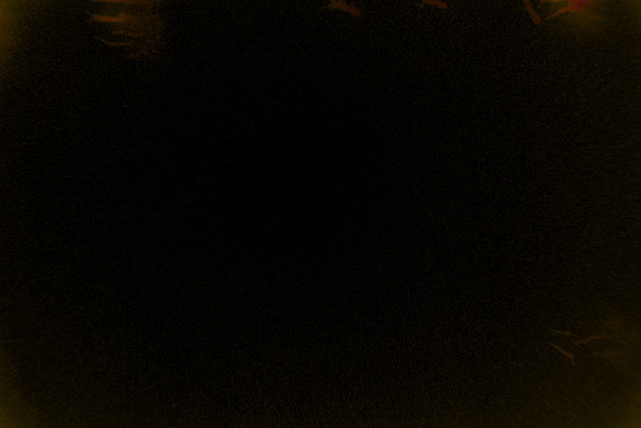 23 Luis Pablo Pérez - Reflx Lab 200T por Arca Film Lab (Junio 2024)