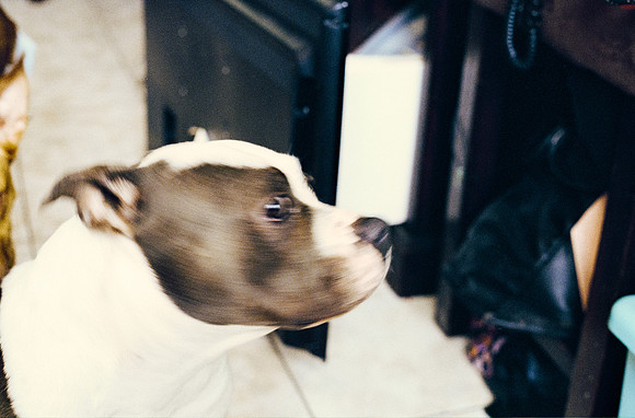 05 Carlos Cabrera - Kodak Ultramax 400 por Arca Film Lab (Marzo 2025) - Rollo 0788