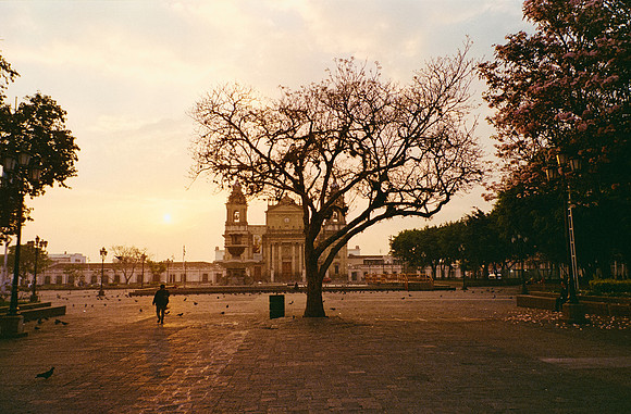 17 Ernesto Ábrego - Kodak Ultramax 400 por Arca Film Lab (Mayo 2025) - Rollo 1081