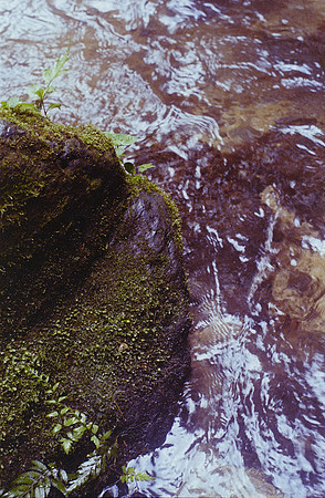 31 Natalia Cordón - Fujifilm 400 por Arca Film Lab (Noviembre 2024) - Rollo 0504