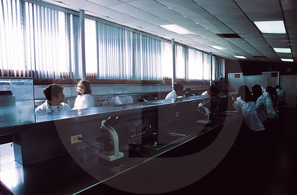 24 Fabriccio Díaz - Fujichrome Provia 100F por Arca Film Lab (Junio 2024) - Rollo 0046