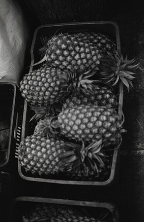 06 Isabel Fuentes - Arista 400 por Arca Film Lab (Agosto 2024) - Rollo 0242