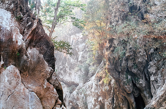20 Jose Gabriel Gatica - Kodak Gold 200 - Arca Film Lab (Junio 2024) - Rollo 0117