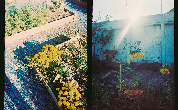 34 Roberto Samayoa - Fujifilm Provia 100F por Arca Film Lab (Mayo 2025) - Rollo 1002