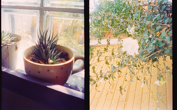 20 Karla Figueroa - Cinestill 800T por Arca Film Lab (Mayo 2025) - Rollo 1038