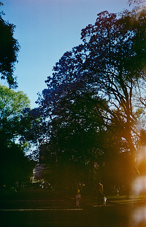 13 Gabriela Retana - Kodak Gold 200 por Arca Film Lab (Mayo 2025) - Rollo 1013