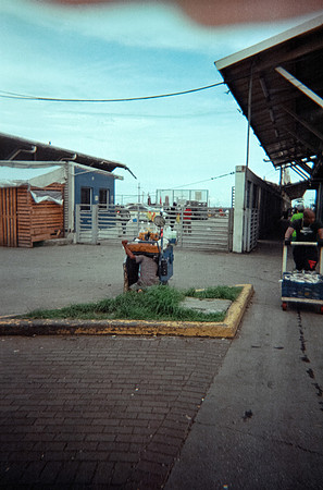 18 José David Fuentes - Fujifilm 200 por Arca Film Lab (Julio 2024) - Rollo 0174