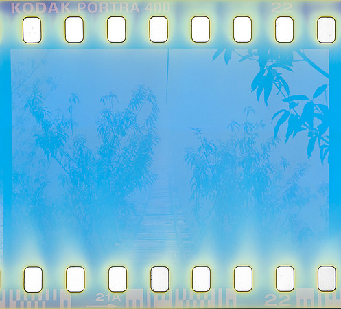 17 Omar Véliz - Kodak Portra 400 por Arca Film Lab (Agosto 2024) - Rollo 0300