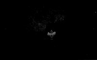 14 Natalia Mendoza - Kentmere Pan 400 por Arca Film Lab (Junio 2025) - Rollo 1126