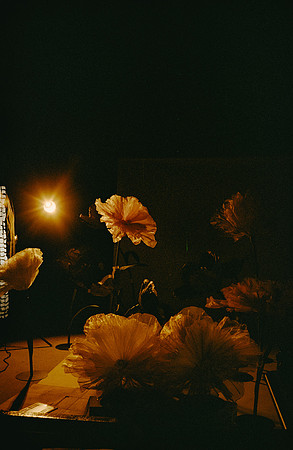 07 David Santiago - Kodak Gold 200 por Arca Film Lab (Enero 2025) - Rollo 0702