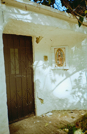 24 Adriana Obiols - Fujifilm 200 por Arca Film Lab (Enero 2025) - Rollo 0597