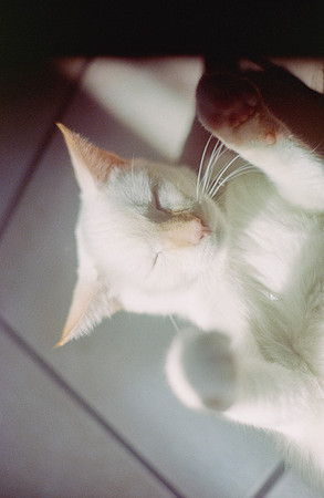 27 Abraham Castillo - Fujifilm 400 por Arca Film Lab (Junio 2025) - Rollo 1118