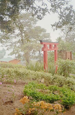 02 David Santiago - Kodak Gold 200 por Arca Film Lab (Enero 2025) - Rollo 0702