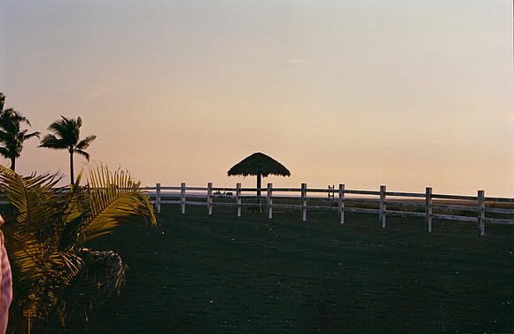 07 José Pérez - Kodak Gold 200 por Arca Film Lab (Enero 2025) - Rollo 0641