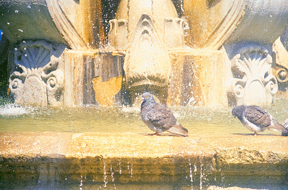 12 Ronald Ottoniel - Fujifilm 400 por Arca Film Lab (Febrero 2025) - Rollo 0867