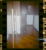 13 Shirley Brakiti - Kodak Gold 200 por Arca Film Lab (Julio 2024) - Rollo 0185