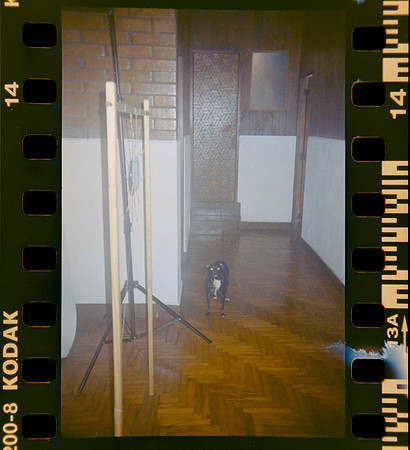 13 Shirley Brakiti - Kodak Gold 200 por Arca Film Lab (Julio 2024) - Rollo 0185