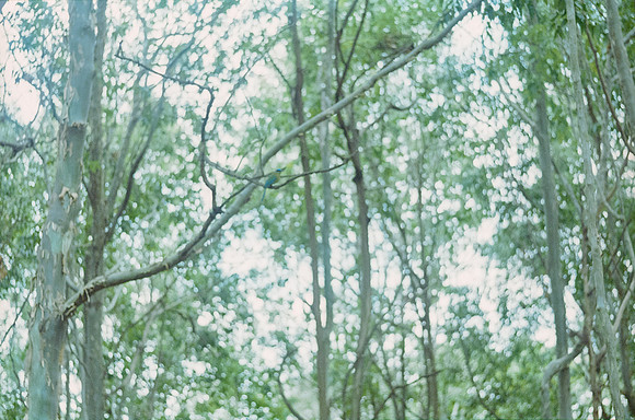 06 Rodolfo Madrigal - Kodak Portra 400 por Arca Film Lab (Junio 2025) - Rollo 1148