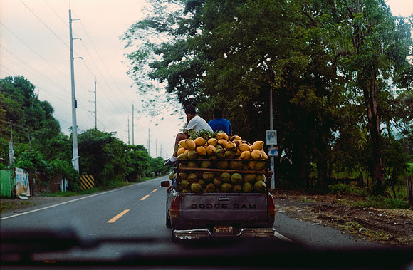08 Karen Lucía Lara - Kodak Gold 200 por Arca Film Lab (Marzo 2025) - Rollo 0796