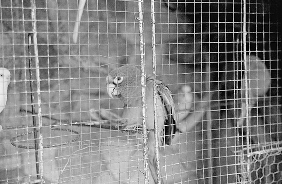 12 Fernando Peña - Ilford HP5 Plus 400 por Arca Film Lab (Agosto 2024) - Rollo 0246