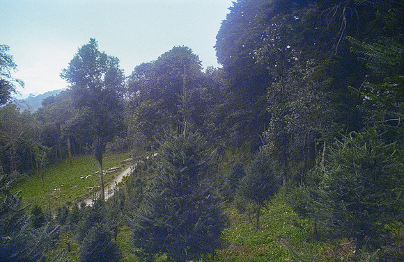 12 Andrés Mazariegos - Kodak Ultramax 400 por Arca Film Lab (Noviembre 2024) - Rollo 0517