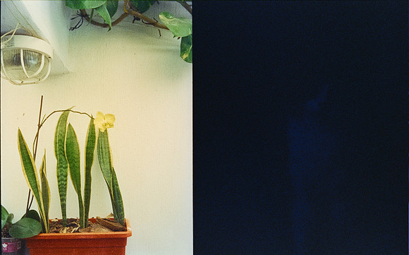 17 Karla Figueroa - Cinestill 800T por Arca Film Lab (Mayo 2025) - Rollo 1038