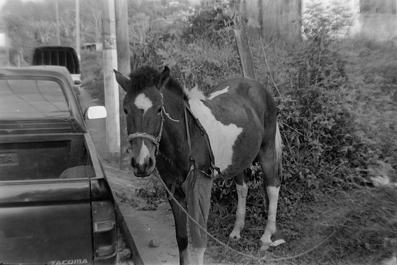 07 Pablo Josué Noack - Ilford HP5 Plus 400 por Arca Film Lab (Mayo 2024) - Rollo 0077