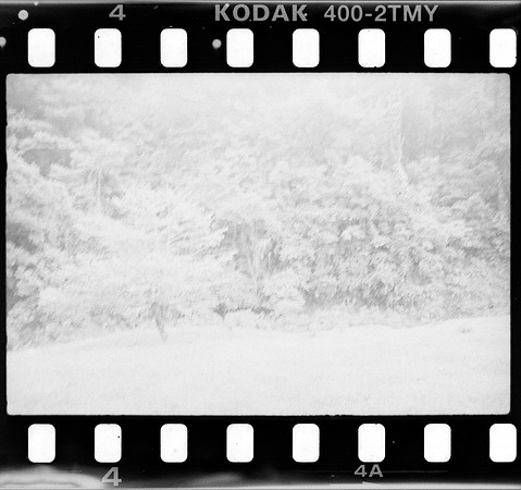 04 Roger Feoli - Kodak TMAX 400 por Arca Film Lab (Mayo 2025) - Rollo 1031