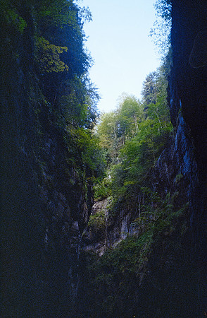 13 María Olga Samperio - Kodacolor 200 por Arca Film Lab (Enero 2025) - Rollo 0677
