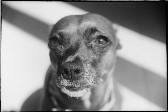16 Jorge Mena - Fujifilm Neopan Acros 100 II por Arca Film Lab (Mayo 2024) - Rollo 0058