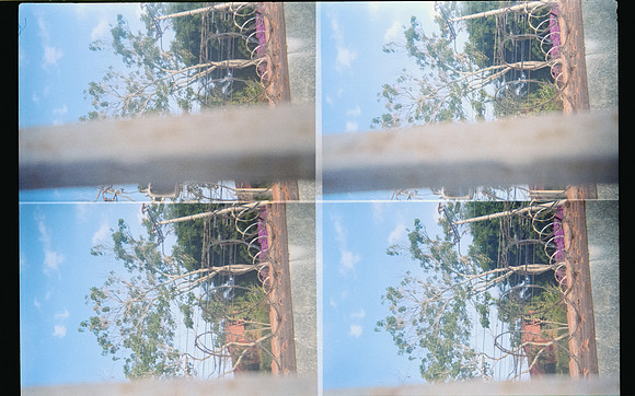 24 Natalia Mendoza - Kodak Gold 200 por Arca Film Lab (Mayo 2025) - Rollo 1018