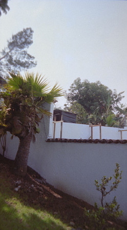 02 Alexander Daum - Fujifilm 400 por Arca Film Lab (Abril 2025) - Rollo 0893
