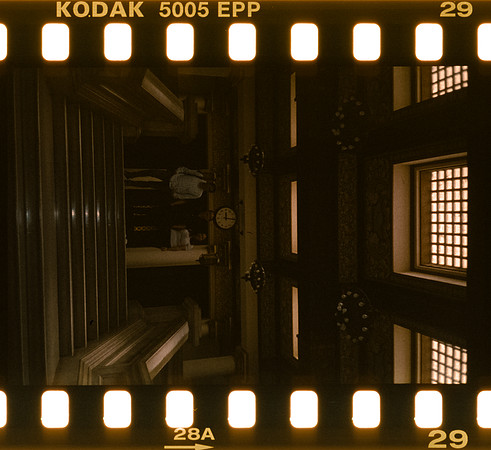 00031 Pablo Marroquín - Kodak Ektachrome 100 - Arca Film Lab (Noviembre 2024) - Rollo 0455
