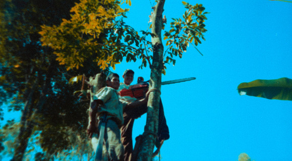 01 Alexander Daum - Kodak Gold 200 por Arca Film Lab (Abril 2025) - Rollo 0897