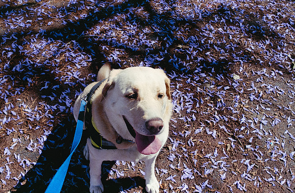 32 Diana Roca - Fujifilm 400 por Arca Film Lab (Mayo 2025) - Rollo 1051