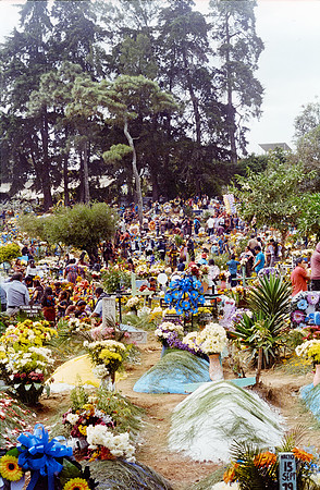 02 Denise Clicks - Kodak Ultramax 400 por Arca Film Lab (Noviembre 2024) - Rollo 0473