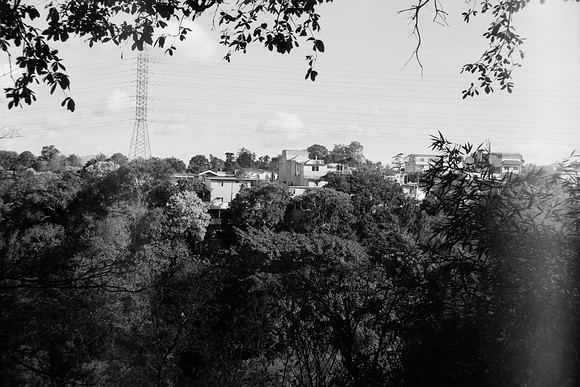 29 Iván Ortíz - Ilford Panf Plus 50 por Arca Film Lab (Abril 2024)