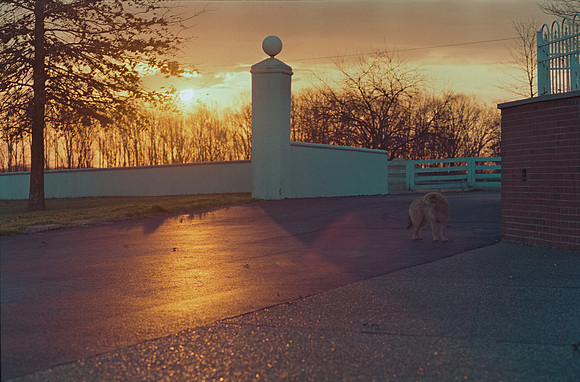 17 Todd Morales - Fujifilm Pro400H por Arca Film Lab (Agosto 2024) - Rollo 0225