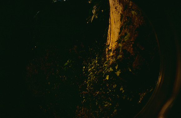 06 Natalia Mendoza - Cinestill 400D por Arca Film Lab (Marzo 2025) - Rollo 0805