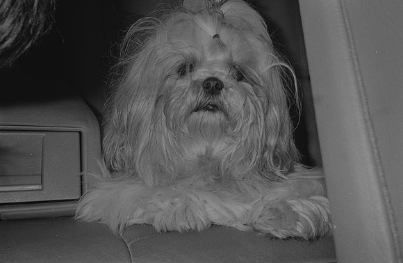10 Francisco Chang - Ilford HP5+ 400 por Arca Film Lab (Noviembre 2024) - Rollo 0469