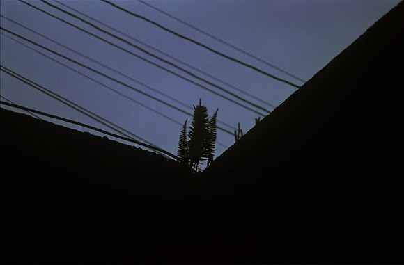 08 Ronald Ottoniel - Kodak Ektachrome por Arca Film Lab (Septiembre 2024) - Rollo 0387