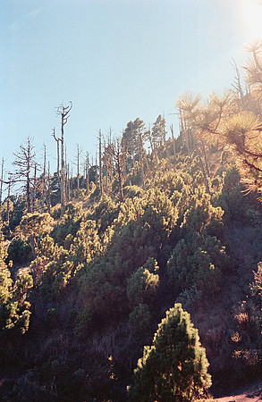 14 Jorge Pereira - Kodak Portra 400 por Arca Film Lab (Septiembre 2024) - Rollo 0376