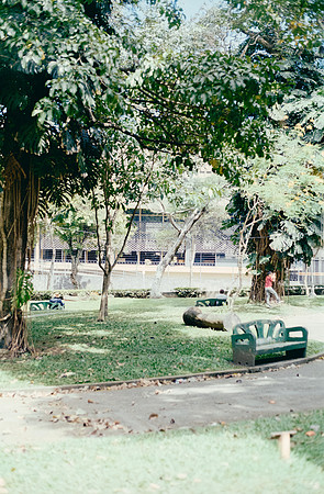 27 Sergio Gamargo - Kodak Gold 200 por Arca Film Lab (Febrero 2025) - Rollo 0851