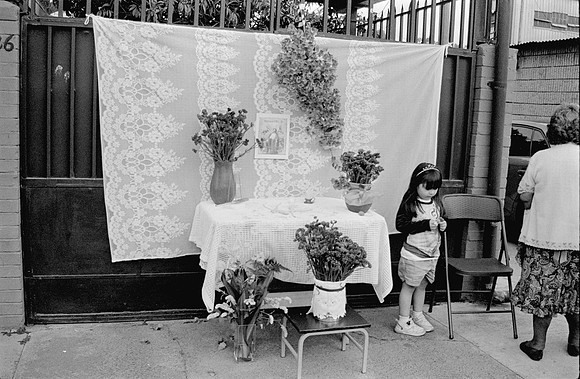 02 Fernando Peña - Ilford HP5 Plus 400 por Arca Film Lab (Agosto 2024) - Rollo 0246