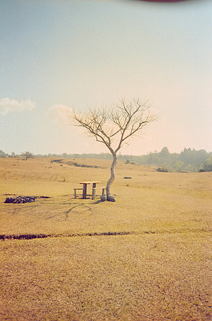 08 José Vásquez - Kodak Gold 200 por Arca Film Lab (Enero 2025) - Rollo 0668