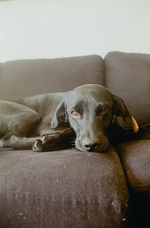27 Andrea Osorio - Kodak Gold 200 por Arca Film Lab (Mayo 2025) - Rollo 1074