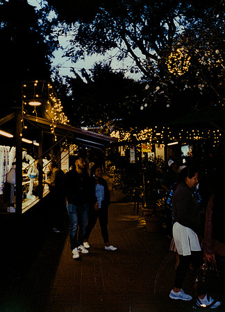 55 Steve Palma - Fujifilm 400 por Arca Film Lab (Enero 2025) - Rollo 0628