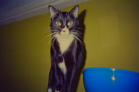 16 José González - Cinestill 800T por Arca Film Lab (Noviembre 2024) - Rollo 0468