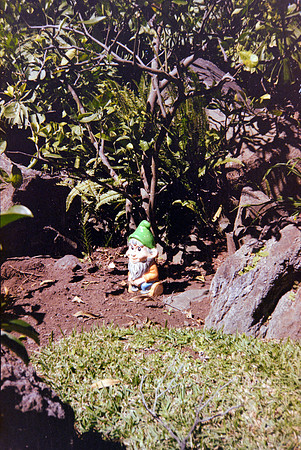 01 Constanza Close - Kodak Gold 200 por Arca Film Lab (Mayo 2024) - Rollo 0063
