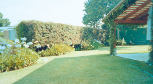 20 Alexander Daum - Kodak Gold 200 por Arca Film Lab (Abril 2025) - Rollo 0899